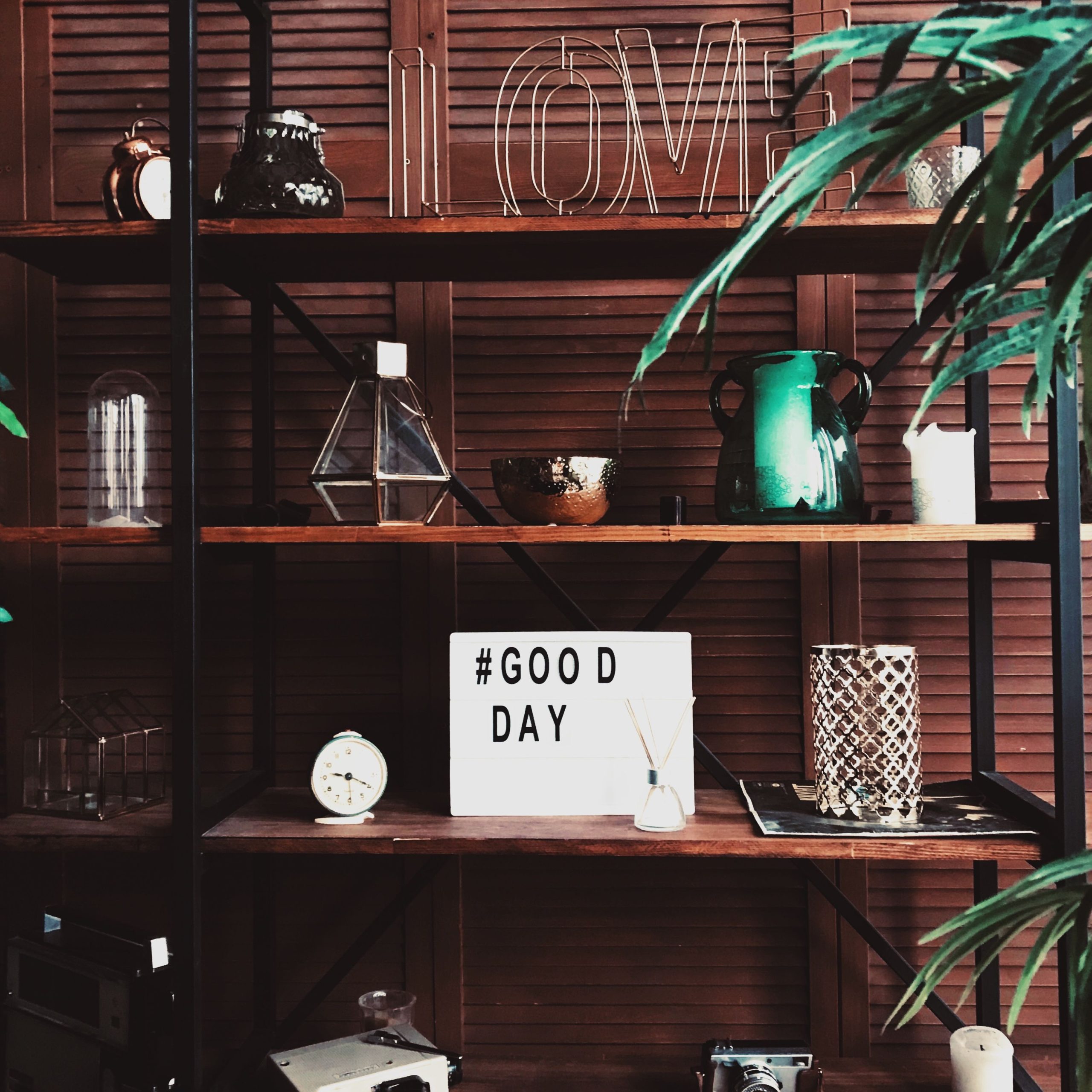 Modern interior shelf rack with assorted decorations and glowers and light box with tag Good day